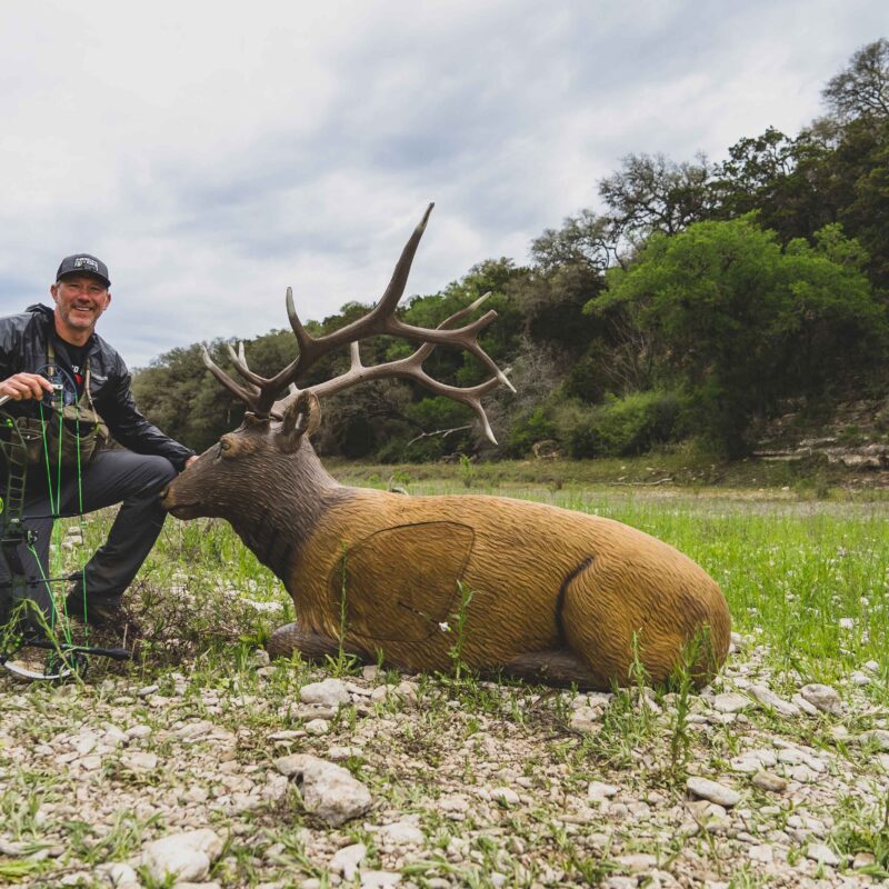 Nock On Archery with elk 3D archery target