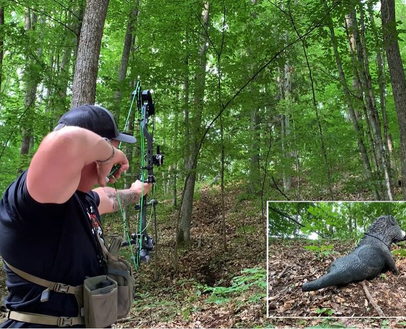 Nock On Archery shooting archery with PSE bow