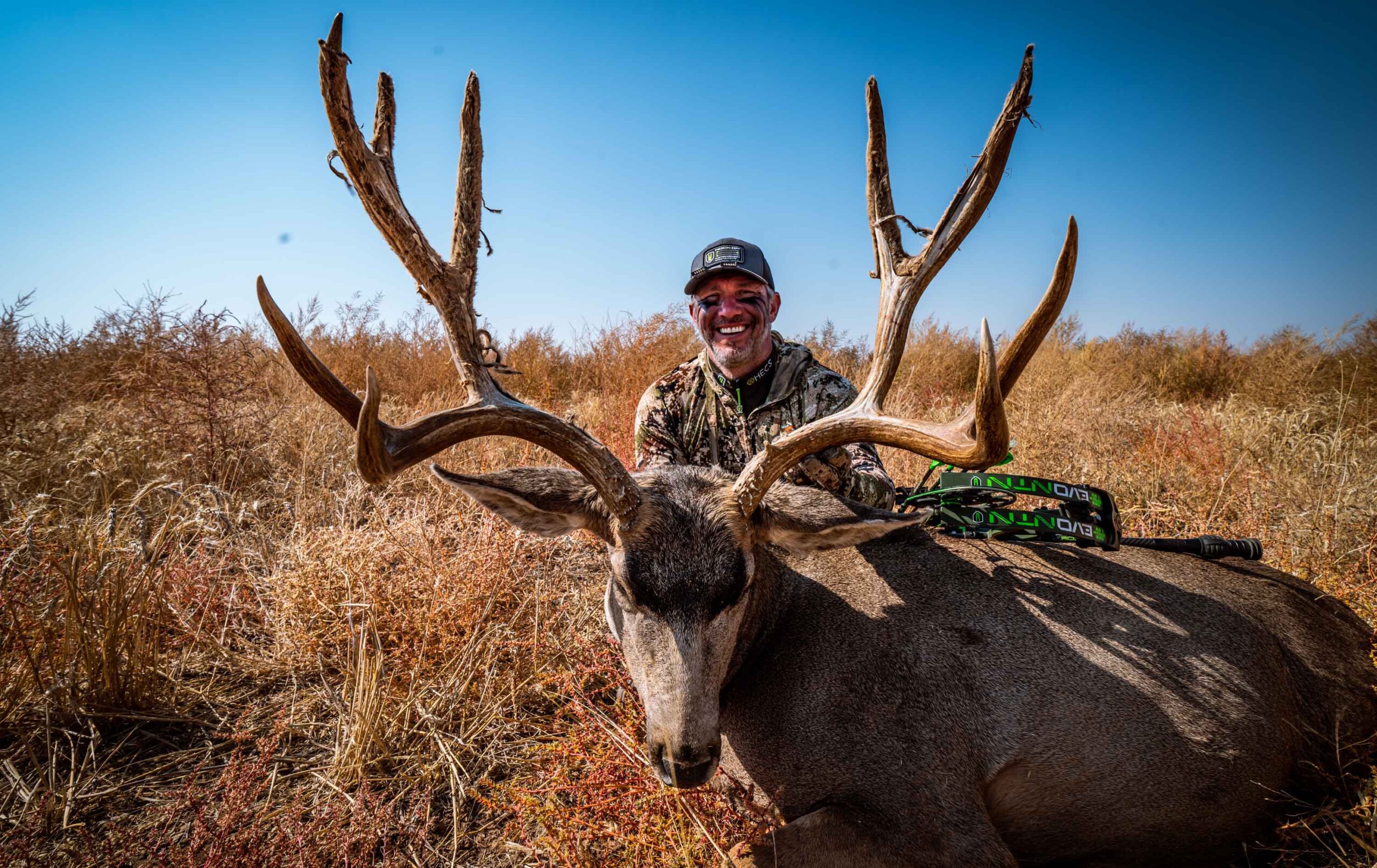 Spot and Stalk Bowhunting Mule Deer