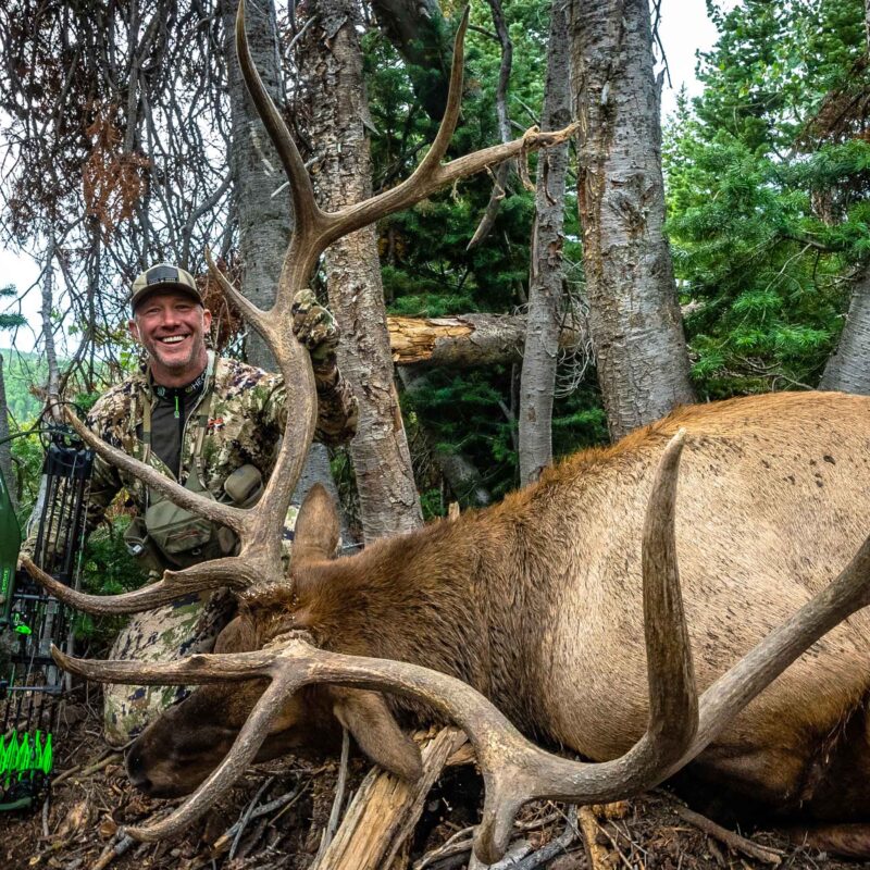 John Dudley makes an incredible shot on a Utah Bull Elk while bowhunting with his PSE Carbon Levitate bow.