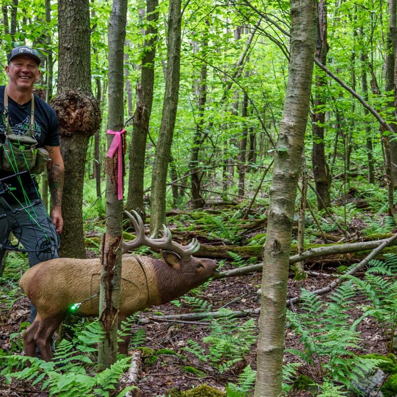 John Dudley shooting a mini elk at a Total Archery Challenge event with his PSE Archery bow.