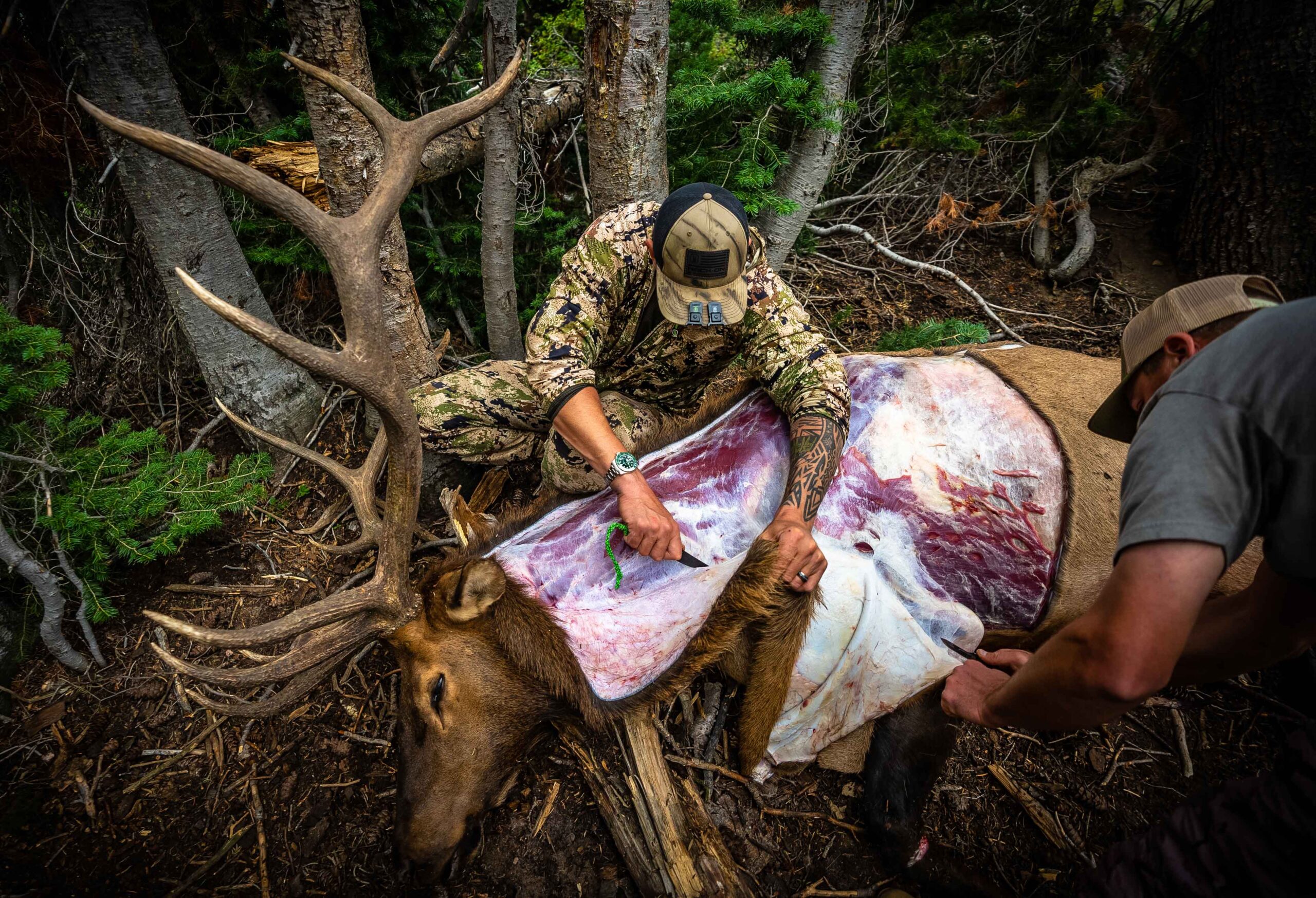 THE ONE ARROW DRILL 1 John Dudley of Nock On Archery butchering a bull elk harvested in Utah during the bowhunting season.