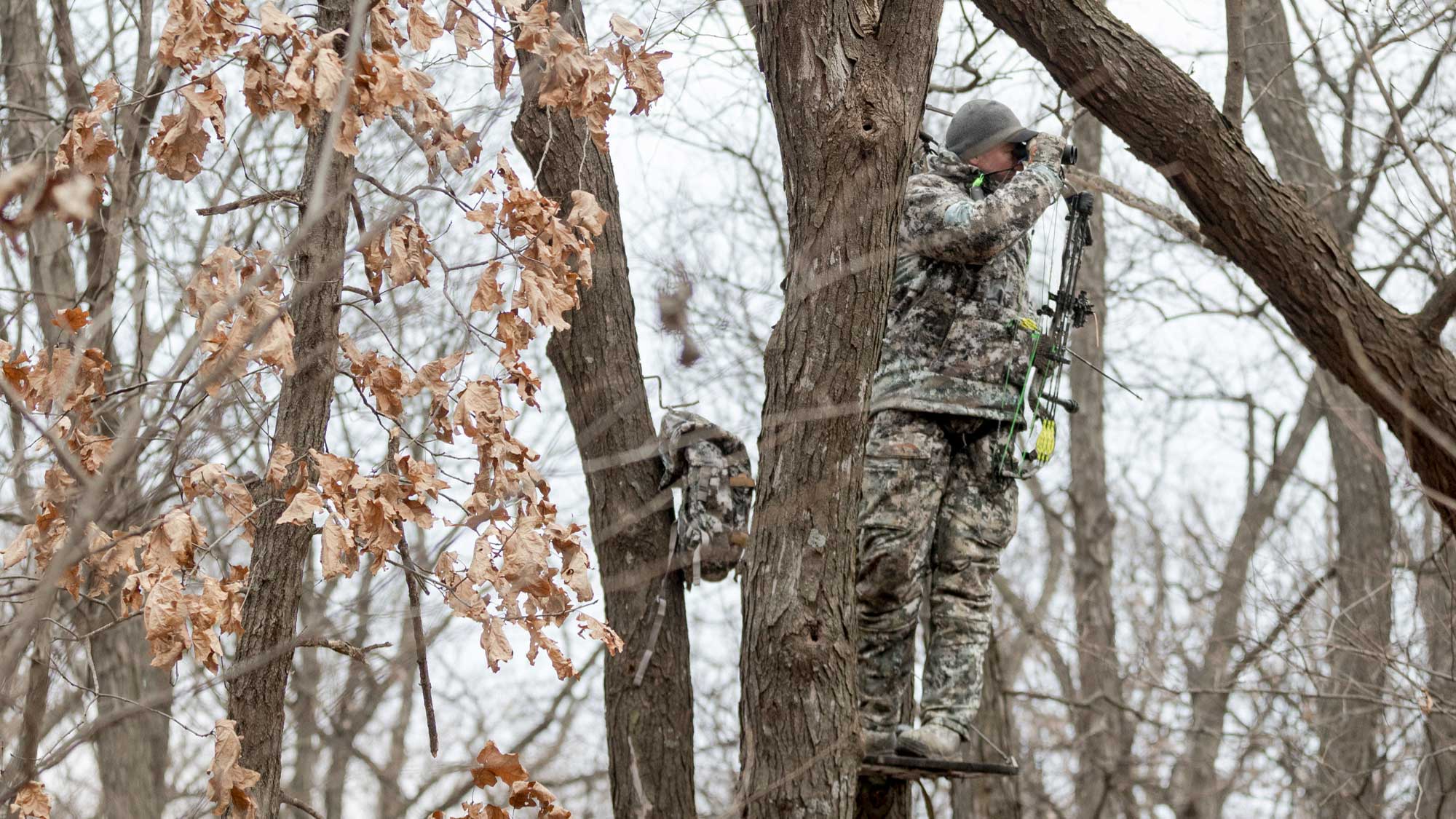 WHITETAIL STAND PLAN FOR NON-PREVAILING WINDS