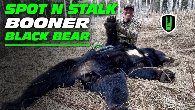 SPOT N STALK ON A BOONER BLACK BEAR 1 video preview