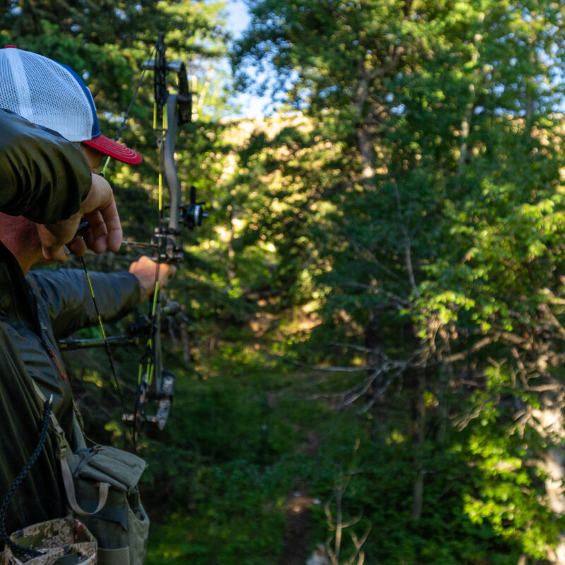 John Dudley aiming a compound bow in a dense forest setting, focusing intently on the target in a natural outdoor environment.