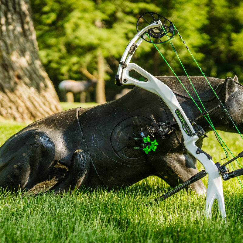 A close up of a 3d target with arrows in the kill zone and a white compound bow leaning on it.