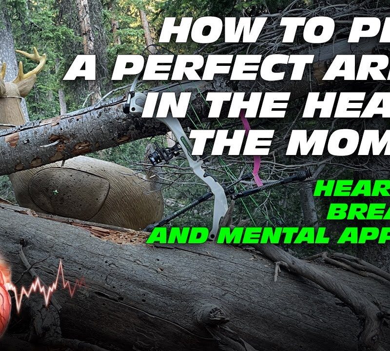 A difficult shot with a deer between trees.