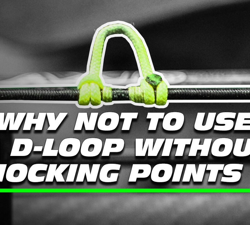 Close up of a D-loop.