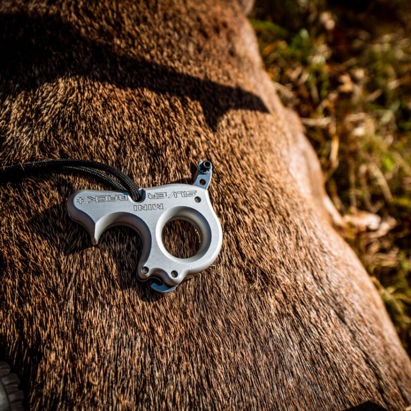 John Dudley explaining how to set up and use the Silverback release.