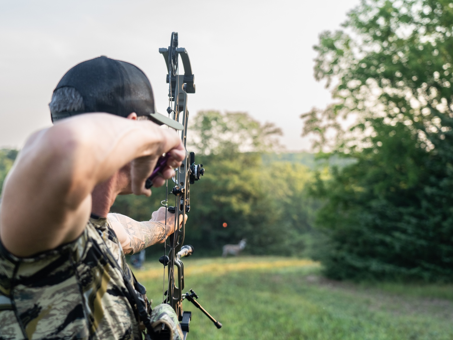 Archery 101: How to Shoot a Compound Bow