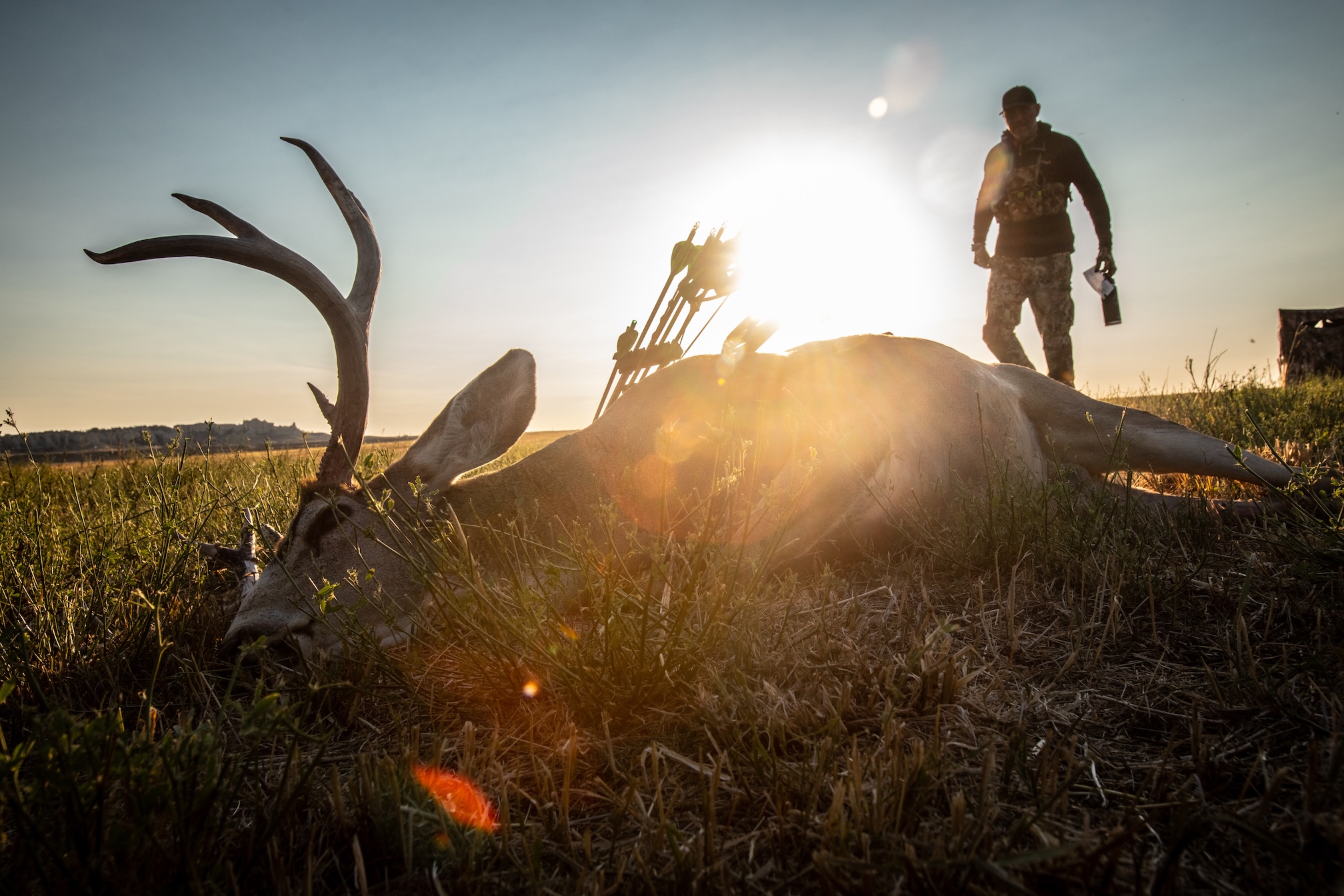 Field Dressing a Deer: A Guide for Solo Hunters