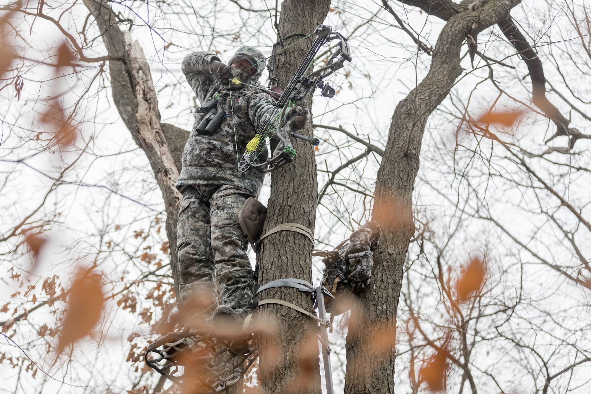 How to Choose the Perfect Tree Stand Location: A Whitetail Hunter’s Guide