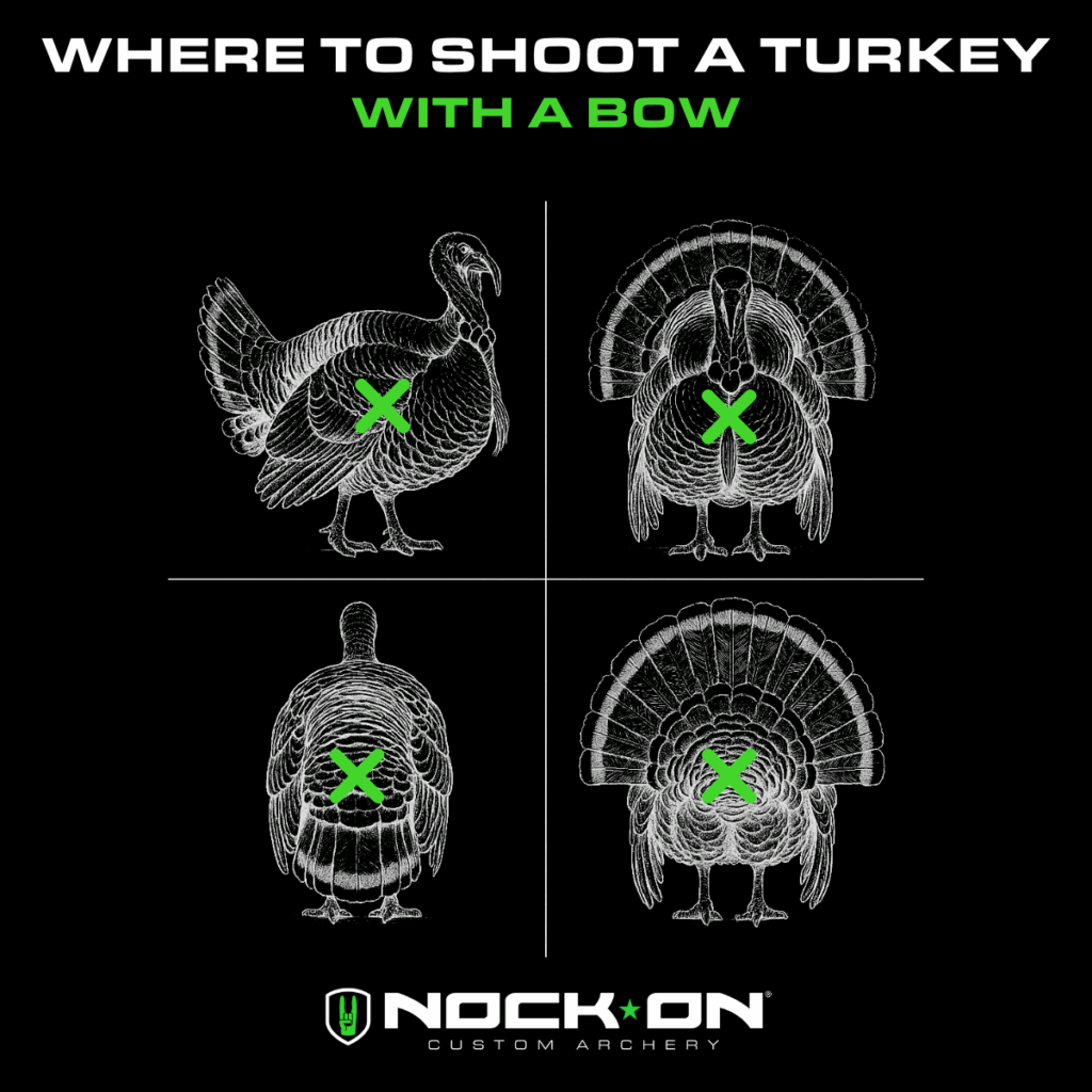 Where to Shoot a Turkey With a Bow for a Quick, Ethical Harvest 1 Where to shoot a turkey with a bow infographic 1