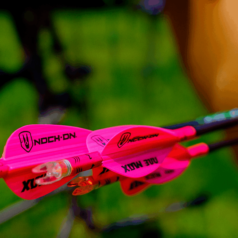 Close-up of three arrows grouped tightly, inspired by John Dudley’s secret method for tighter shooting groups.