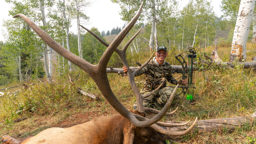 School Of Nock 1 svg+xml;charset=utf