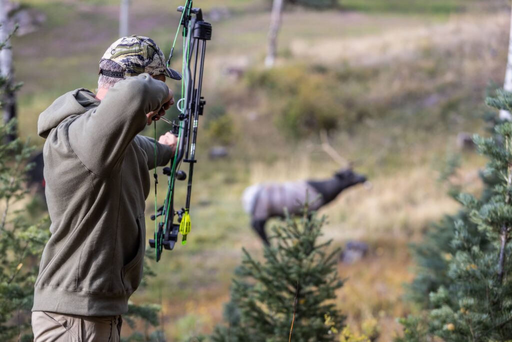 My Backyard Drills for Bowhunting Success 3 Elk 3D Target