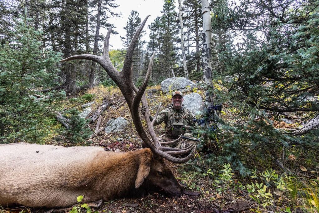 Seven Killer Elk Tips for Bowhunters 3 late season elk bull