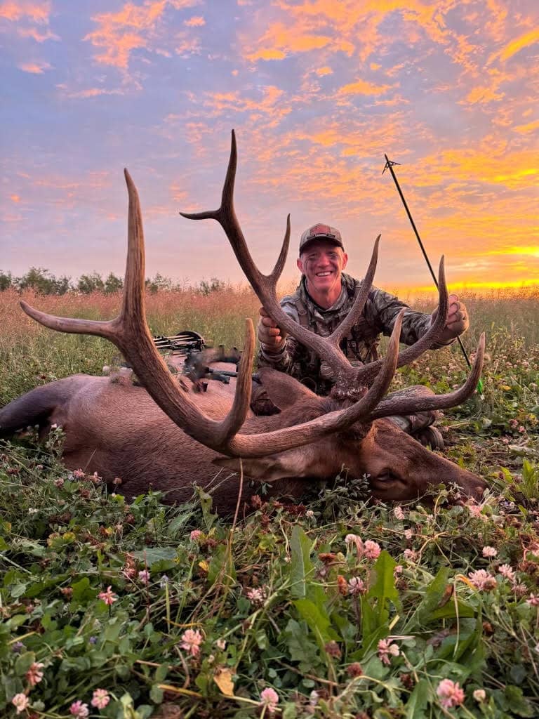 Seven Killer Elk Tips for Bowhunters 4 use heavier arrow with elk